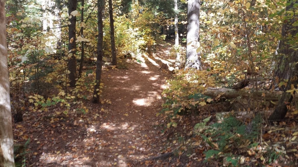 Step Falls, Newry, Maine hiking trail.