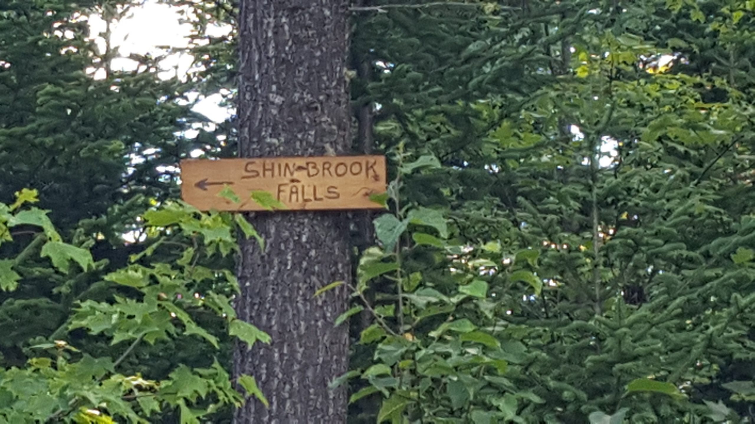 Shin Falls sign.