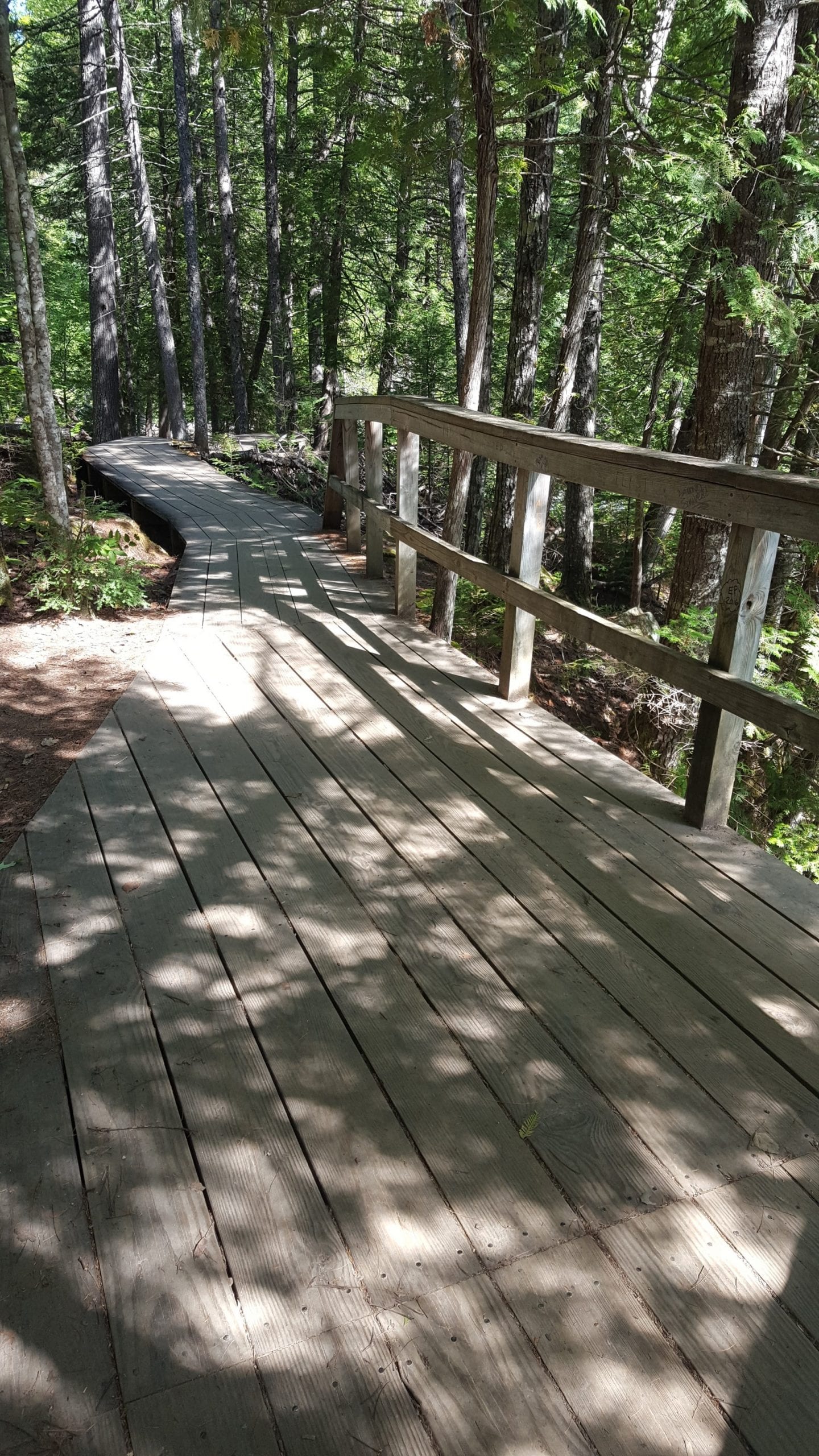 A lot of time and effort was put into building these beautiful boardwalks.